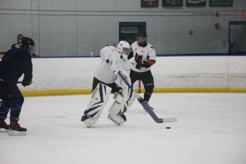 Goalie-playing-PuckIMG 5693